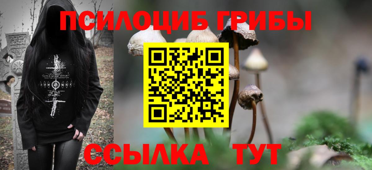 Сальск  Псилоцибиновые грибы мицелий  купить наркоту  Вход с VPN 